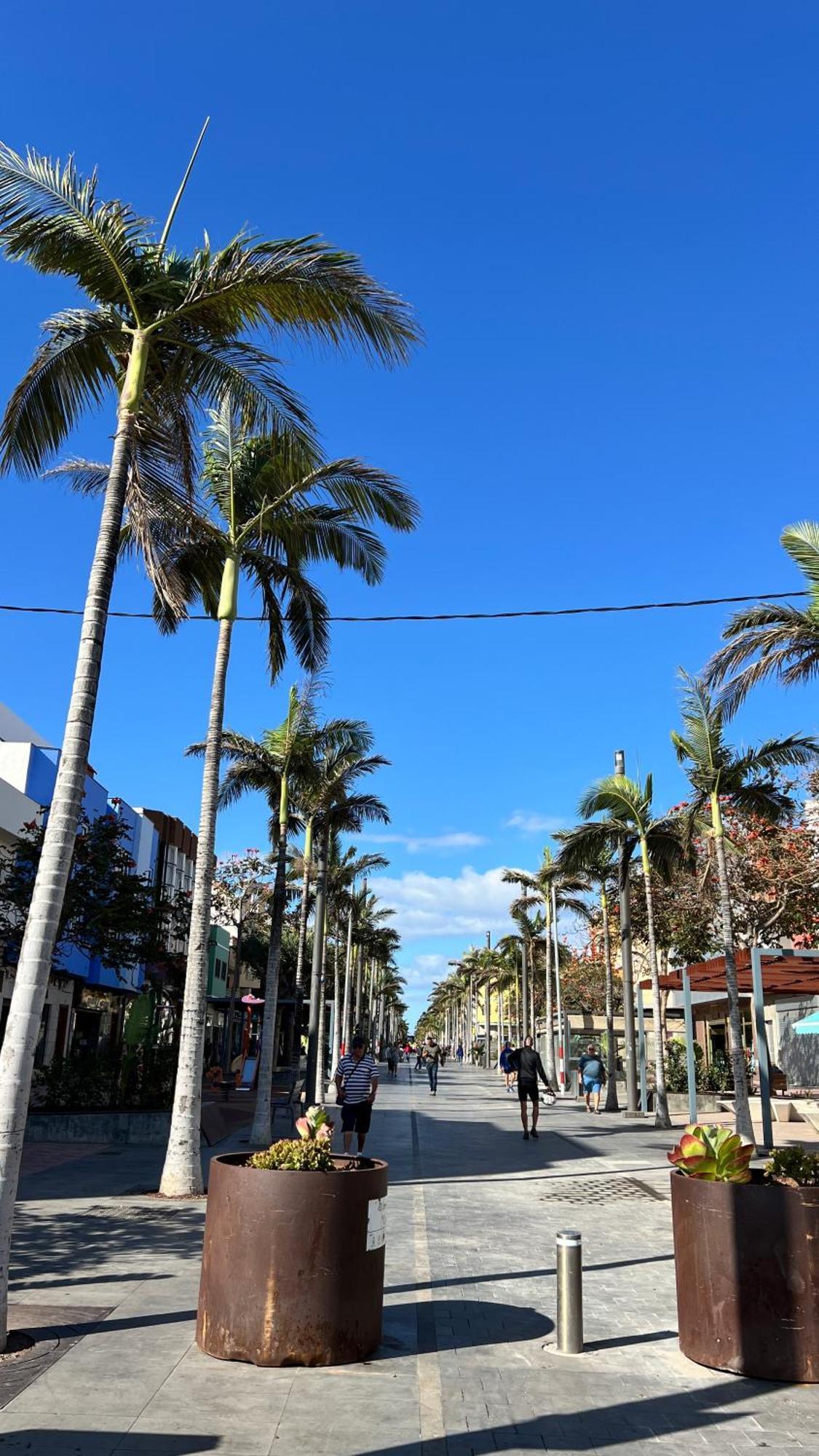 Mirame Canarias Vecindario  Luaran gambar