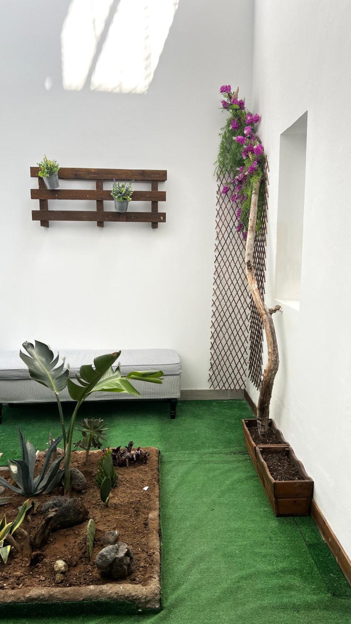 Mirame Canarias Vecindario  Luaran gambar
